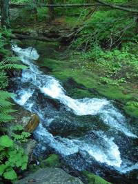 Bl Opava (naun stezka) - 