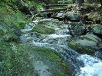 Bl Opava (naun stezka) - 