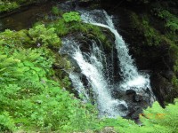 Bl Opava (naun stezka) - 