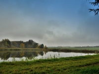 Grauerk - Kesetice (rybnk) - 