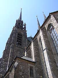 Katedrla sv. Petra a Pavla - Brno (kostel) - Pohled na v
