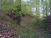 Strlek (zcenina hradu) - Hrad Strlek - hlavn pkop v severn sti