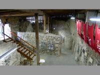 Brumov (zcenina hradu) - 