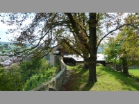 Brumov (zcenina hradu) - 