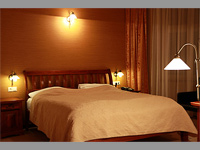 Hotel Zlat Lev - atec (hotel, restaurace) - Dvoulkov pokoj