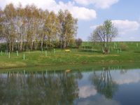 Skpovsk biokoridor (rybnky) - Skpov - biokoridor