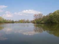 Hrdibořické rybníky (přírodní památka)