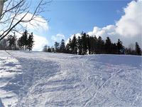 Ski Kladky (lyask arel) - Sjezdovka (foto:lyzovanikladky)