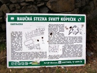 Kartuzinsk klter - Dolany (zcenina klteru) - 