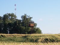 ttula (rozhledna) - Rozhledna ttula na Pedin