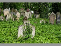 Star idovsk hbitov - Koln (hbitov) - 