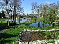 Bukov (obec) - Bukov - rybnk