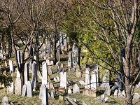 Židovský hřbitov - Mikulov (hřbitov)