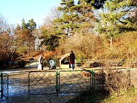 Krav Hora - Brno (park) - 