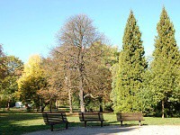 Park Lunky - Brno (park) - 