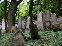 Slavkov u Brna - idovsk hbitov (hbitov) - Nhrobn kameny idovskho hbitova