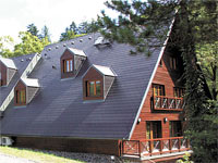 Penzion Oveka - Ndek (pension) - 