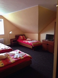 Penzion Lesn pramen - Pec pod Snkou (penzion) - 