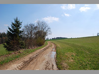 Nad Vclavovem (rozcestnk) - Pohled smrem k rozcest Na Horch