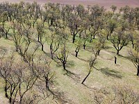 Rozhledna Hustopesk star vrch (rozhledna) - 