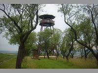 Rozhledna Hustopesk star vrch (rozhledna) - 