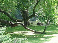 Podzmeck zahrada - Krom (park) - 