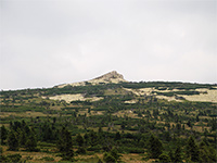 Violk - Krkonoe (vrchol)