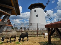 Rozhledna Bukovansk mln - Bukovany (rozhledna) - 