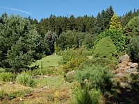 foto Arboretum Borotn (botanick zahrada)