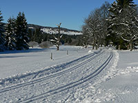 Lyask arel Strn (ski arel) - Beck trat
