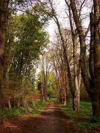 
                        Sokolnick obora - Sokolnice (obora)