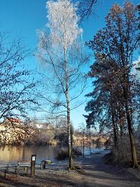 Kouteck jezrko - Plze (jezero) - 