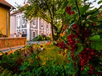 Penzion Athanor - esk Krumlov (penzion) - 