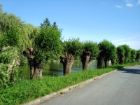 Hluovice (obec) - 