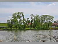 Rovensk rybnk (rybnk) - 