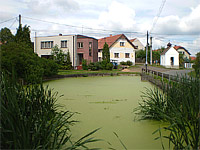 Ostrovec - Lhotka (obec) - Mstn rybnek