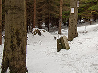 Vl pamtnk - Lsek (pomnk) - Vl pamtnk
