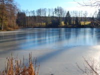 Skoice (obec) - 