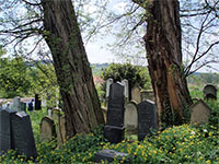 
                        Židovský hřbitov - Spálené Poříčí (hřbitov)