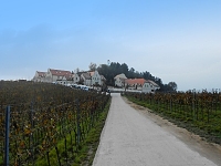 Rozhledna Dalibor (rozhledna) - 