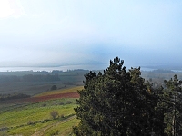 Rozhledna Dalibor (rozhledna) - 