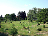 
                        Arboretum - Vrahovice (arboretum)