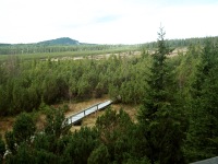 Jezern sla u Kvildy (rozhledna) - 