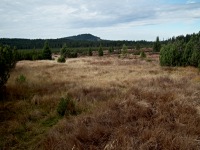 Jezern sla - Kvilda (prodn zajmavost) - 