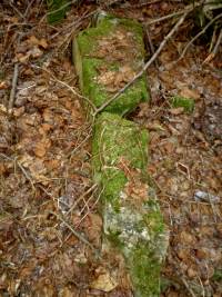 hrad Ungeltberg - Uhnov (hrad) - Zbytky hradu.