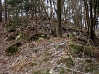 hrad Ungeltberg - Uhnov (hrad) - Zbytky hradu.