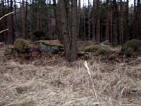 hrad Ungeltberg - Uhnov (hrad) - Zbytky hradu.