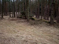 hrad Ungeltberg - Uhnov (hrad) - Zbytky hradu.