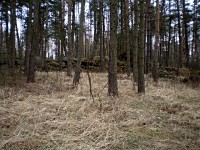 hrad Ungeltberg - Uhnov (hrad) - Zbytky hradu.