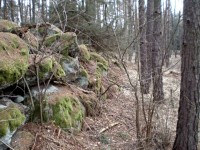 hrad Ungeltberg - Uhnov (hrad) - Zbytky hradu.